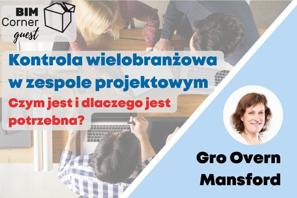 Kontrola wielobranżowa w zespole projektowym