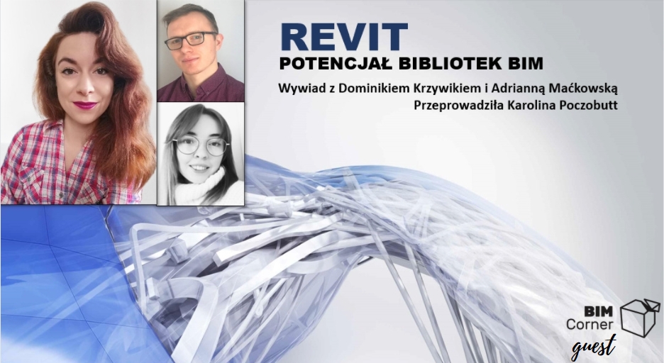 Read more about the article Potencjał tworzenia inteligentnych bibliotek w technologii BIM