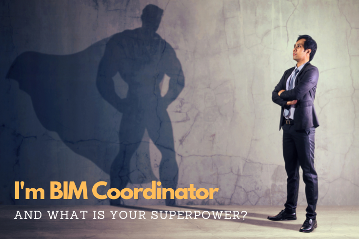 How to become BIM Coordinator