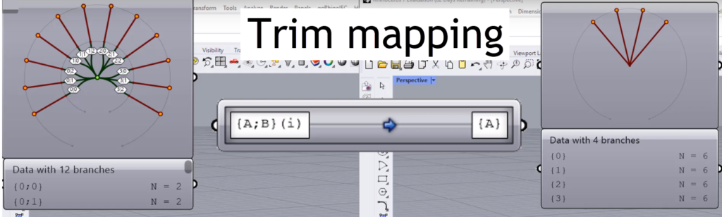 Trim mapping in Grasshopper